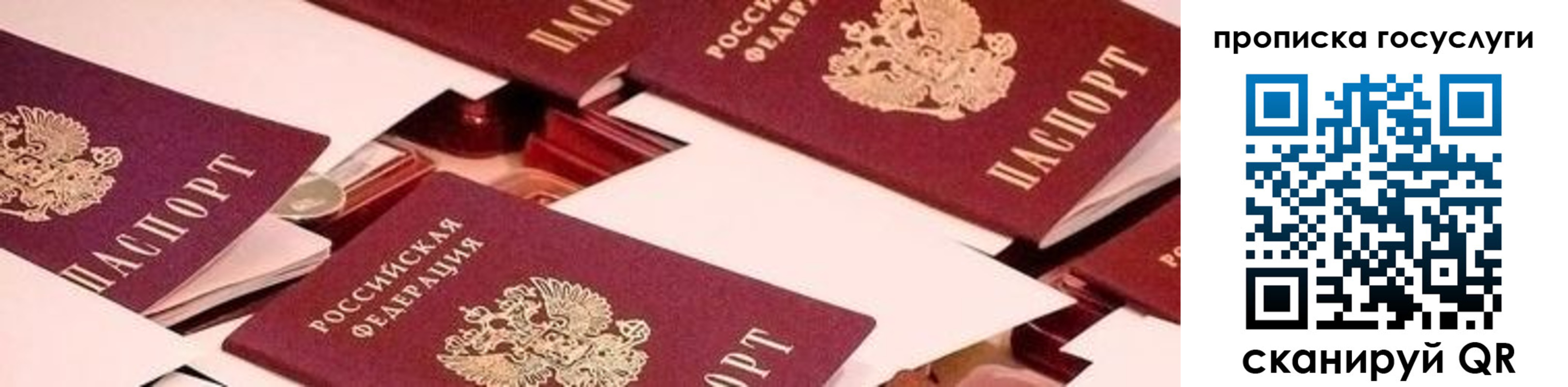 регистрация в Владимире